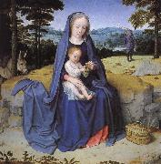 Vila during the flight to Egypt
